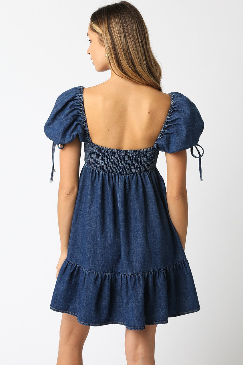 Sunday Picnic Denim Dress- LAST S!