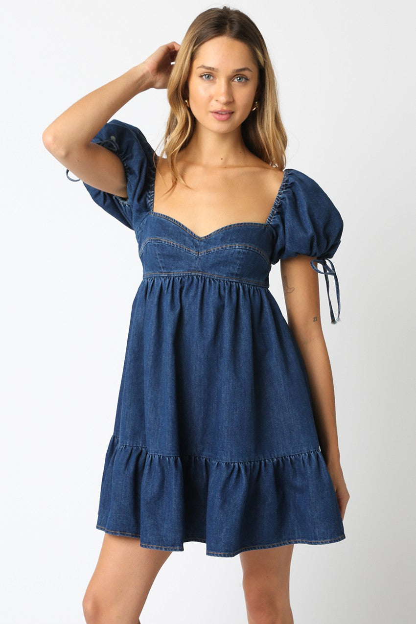 Sunday Picnic Denim Dress- LAST S!