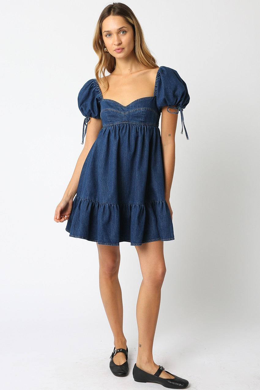 Sunday Picnic Denim Dress- LAST S!