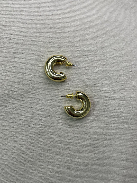 Small Chunky Hoop Earrings